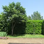 Zvezdica*** With Garden *