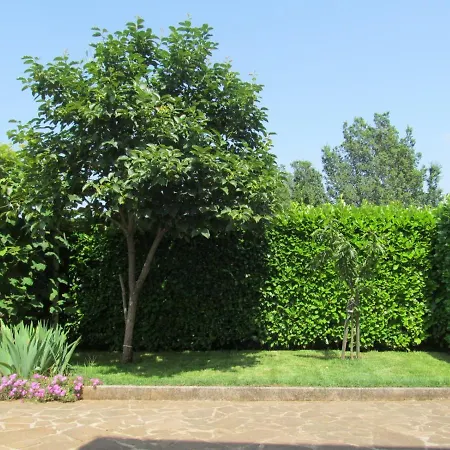 Zvezdica*** With Garden *