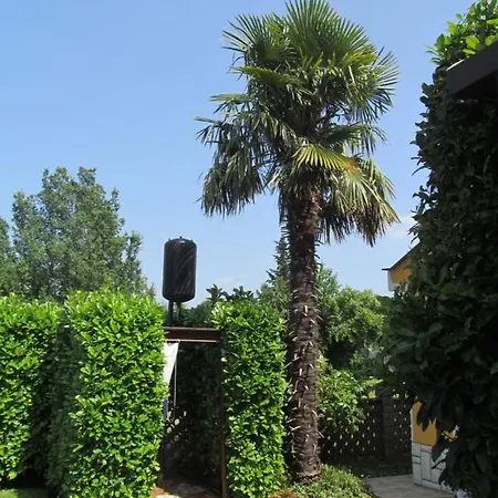 Zvezdica*** With Garden Lejlighed Zambratija (Istria)